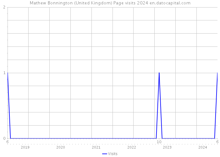 Mathew Bonnington (United Kingdom) Page visits 2024 