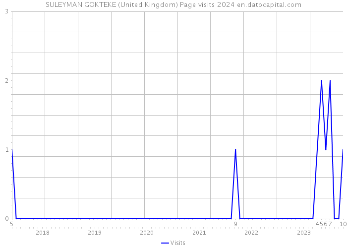 SULEYMAN GOKTEKE (United Kingdom) Page visits 2024 