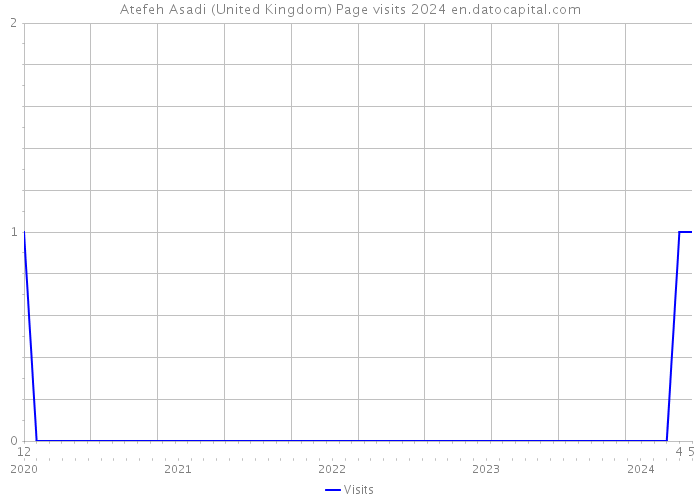 Atefeh Asadi (United Kingdom) Page visits 2024 