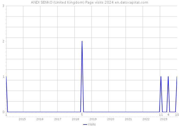 ANDI SENKO (United Kingdom) Page visits 2024 