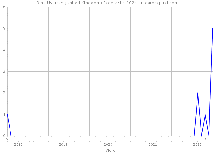 Rina Uslucan (United Kingdom) Page visits 2024 