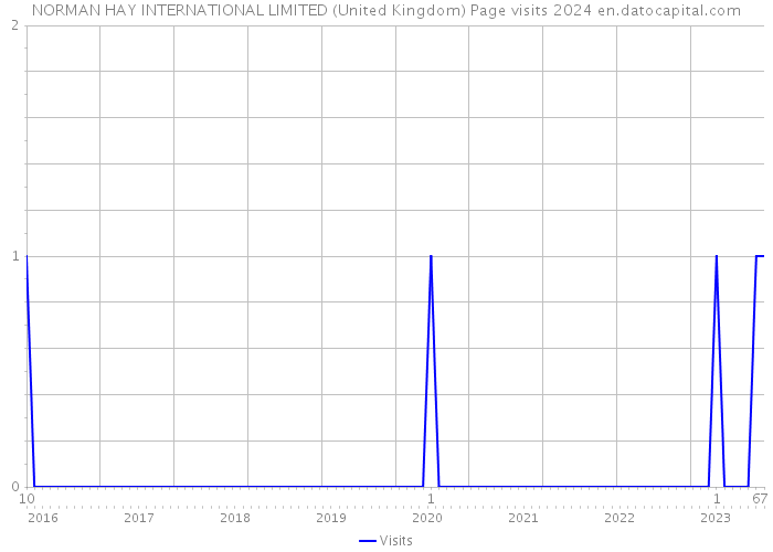 NORMAN HAY INTERNATIONAL LIMITED (United Kingdom) Page visits 2024 