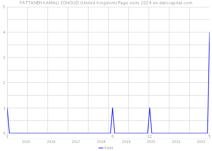FATTANEH KAMALI ZONOUZI (United Kingdom) Page visits 2024 