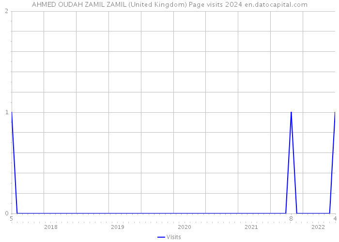 AHMED OUDAH ZAMIL ZAMIL (United Kingdom) Page visits 2024 