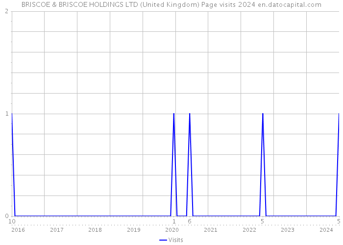 BRISCOE & BRISCOE HOLDINGS LTD (United Kingdom) Page visits 2024 