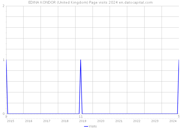 EDINA KONDOR (United Kingdom) Page visits 2024 