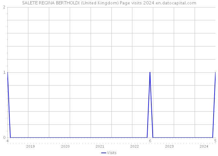 SALETE REGINA BERTHOLDI (United Kingdom) Page visits 2024 