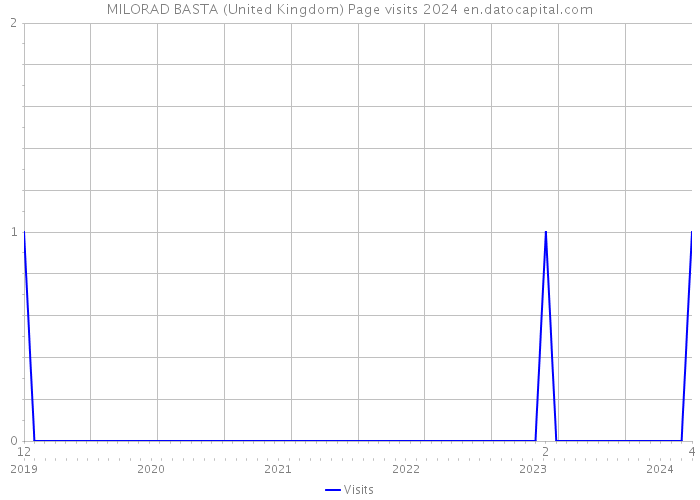 MILORAD BASTA (United Kingdom) Page visits 2024 