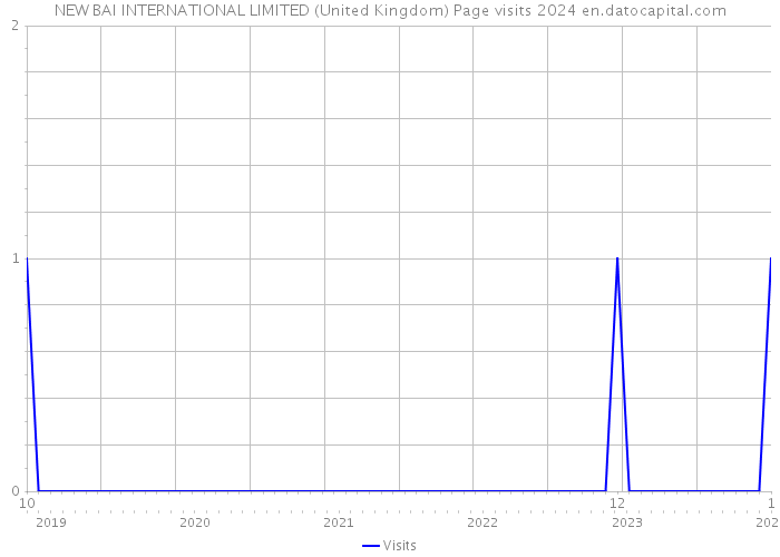 NEW BAI INTERNATIONAL LIMITED (United Kingdom) Page visits 2024 