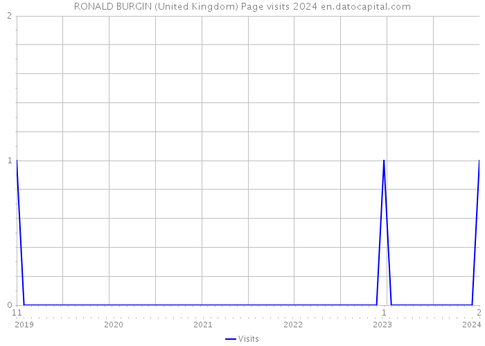 RONALD BURGIN (United Kingdom) Page visits 2024 