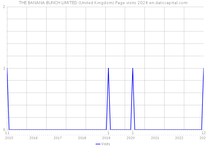 THE BANANA BUNCH LIMITED (United Kingdom) Page visits 2024 
