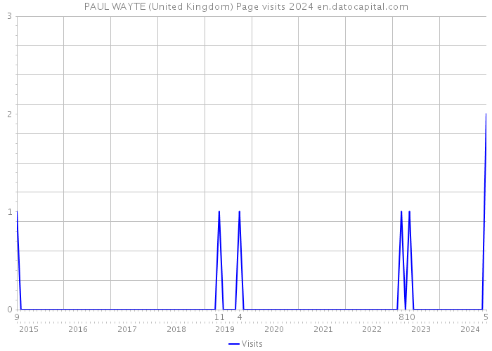 PAUL WAYTE (United Kingdom) Page visits 2024 