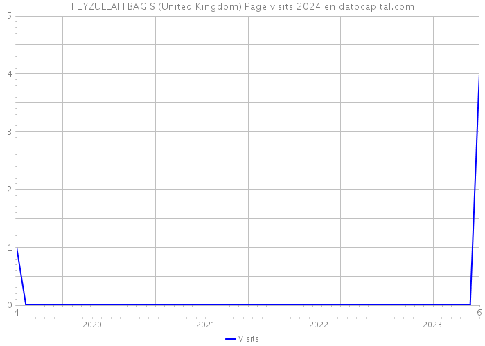 FEYZULLAH BAGIS (United Kingdom) Page visits 2024 