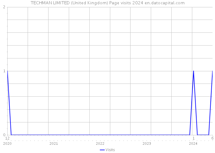 TECHMAN LIMITED (United Kingdom) Page visits 2024 