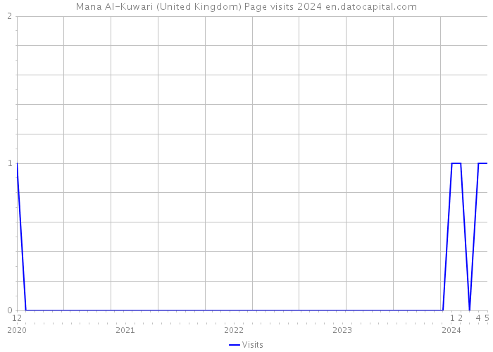 Mana Al-Kuwari (United Kingdom) Page visits 2024 