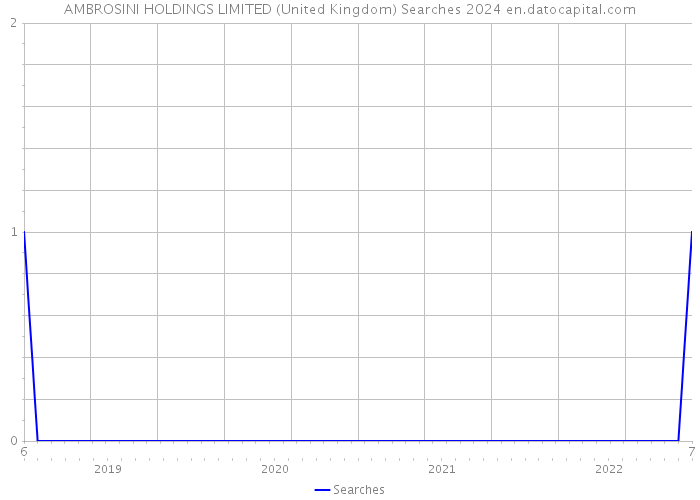 AMBROSINI HOLDINGS LIMITED (United Kingdom) Searches 2024 