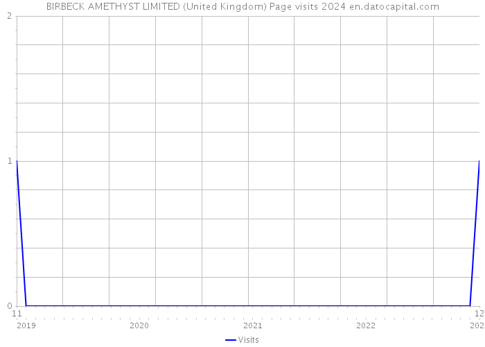BIRBECK AMETHYST LIMITED (United Kingdom) Page visits 2024 