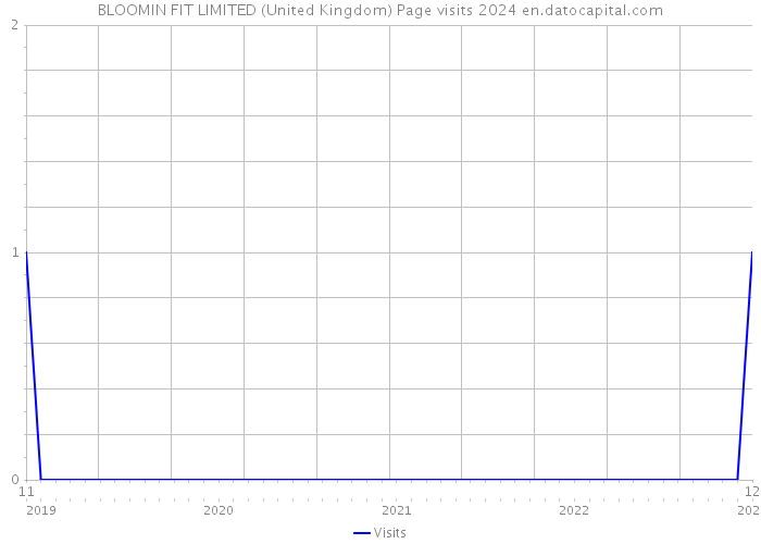 BLOOMIN FIT LIMITED (United Kingdom) Page visits 2024 