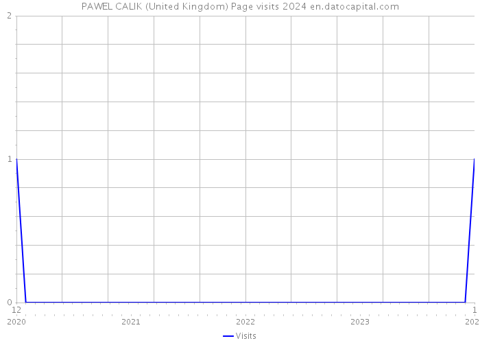 PAWEL CALIK (United Kingdom) Page visits 2024 