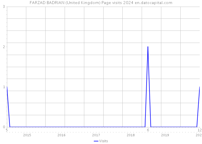 FARZAD BADRIAN (United Kingdom) Page visits 2024 