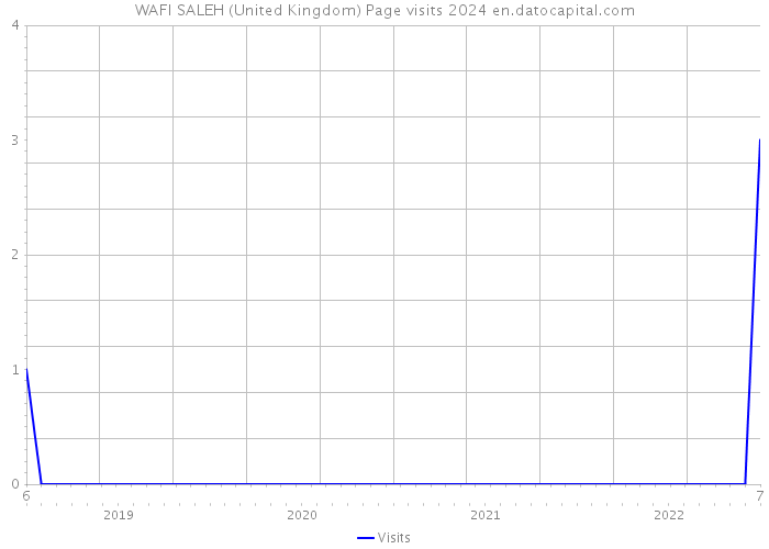 WAFI SALEH (United Kingdom) Page visits 2024 
