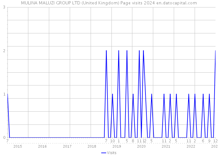 MULINA MALUZI GROUP LTD (United Kingdom) Page visits 2024 