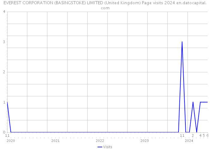 EVEREST CORPORATION (BASINGSTOKE) LIMITED (United Kingdom) Page visits 2024 