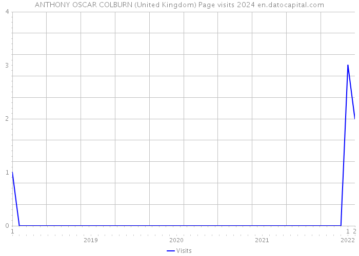 ANTHONY OSCAR COLBURN (United Kingdom) Page visits 2024 