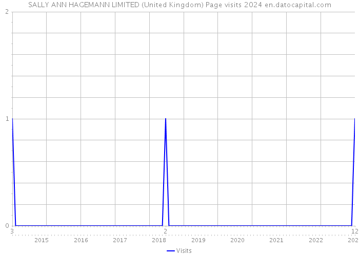 SALLY ANN HAGEMANN LIMITED (United Kingdom) Page visits 2024 