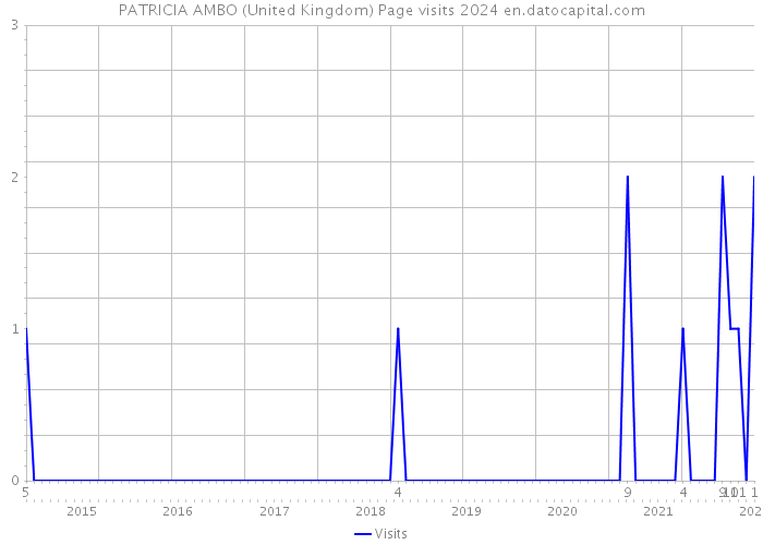 PATRICIA AMBO (United Kingdom) Page visits 2024 