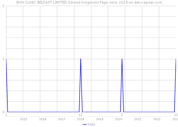 SKIN CLINIC BELFAST LIMITED (United Kingdom) Page visits 2024 