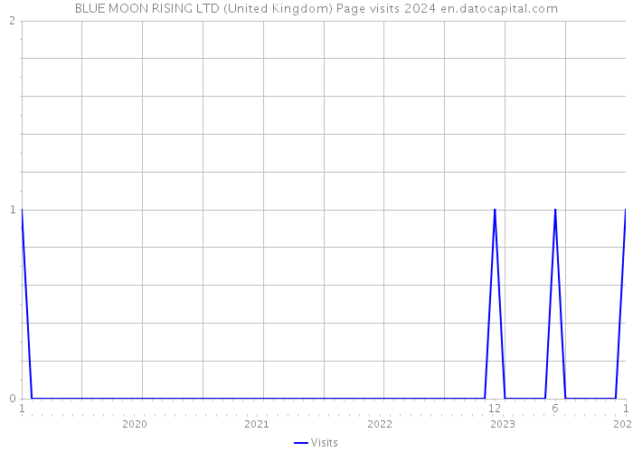 BLUE MOON RISING LTD (United Kingdom) Page visits 2024 