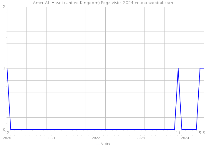 Amer Al-Hosni (United Kingdom) Page visits 2024 