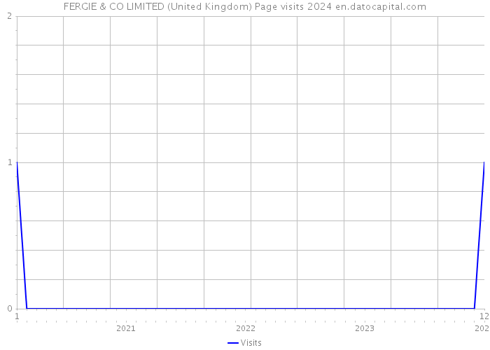FERGIE & CO LIMITED (United Kingdom) Page visits 2024 