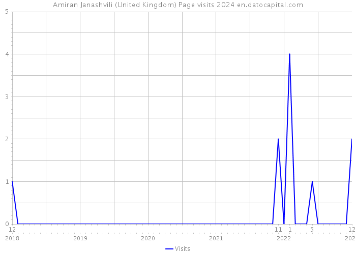 Amiran Janashvili (United Kingdom) Page visits 2024 