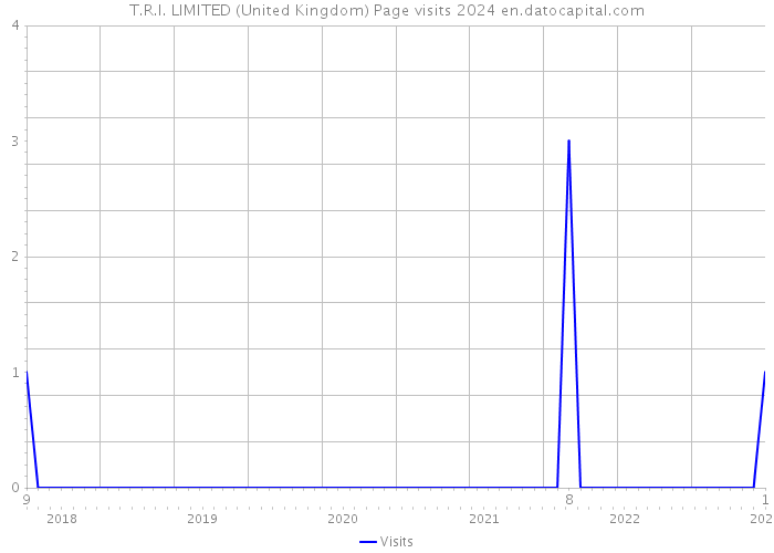 T.R.I. LIMITED (United Kingdom) Page visits 2024 