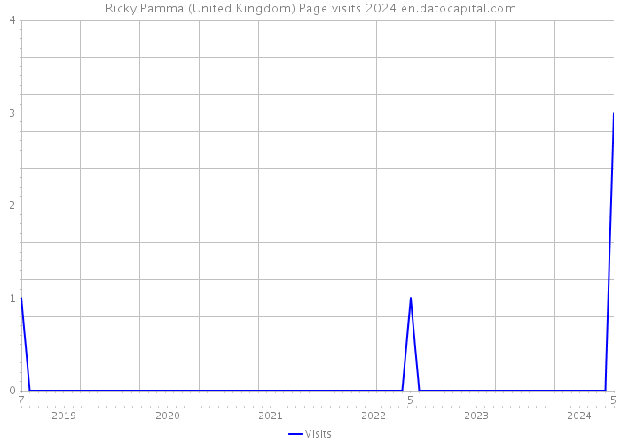 Ricky Pamma (United Kingdom) Page visits 2024 