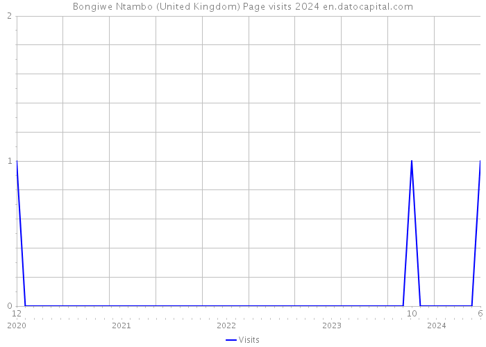 Bongiwe Ntambo (United Kingdom) Page visits 2024 