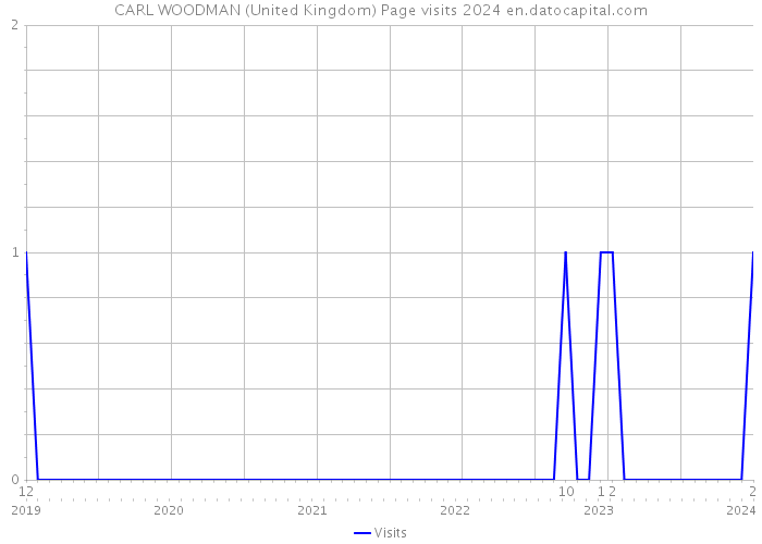 CARL WOODMAN (United Kingdom) Page visits 2024 