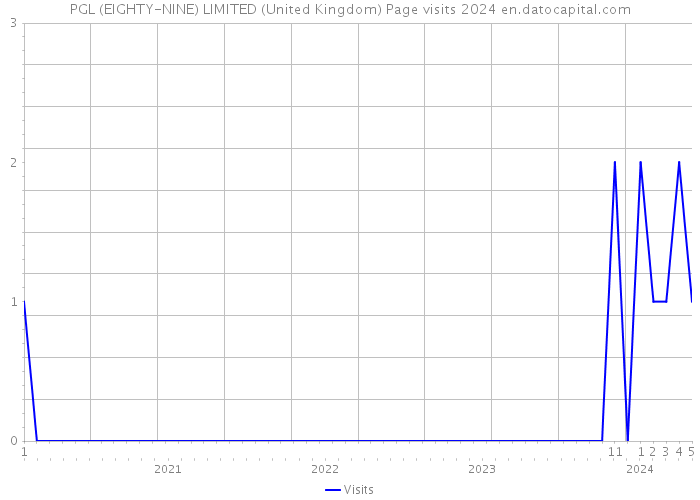 PGL (EIGHTY-NINE) LIMITED (United Kingdom) Page visits 2024 