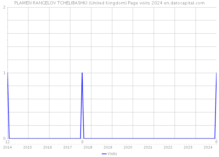 PLAMEN RANGELOV TCHELIBASHKI (United Kingdom) Page visits 2024 