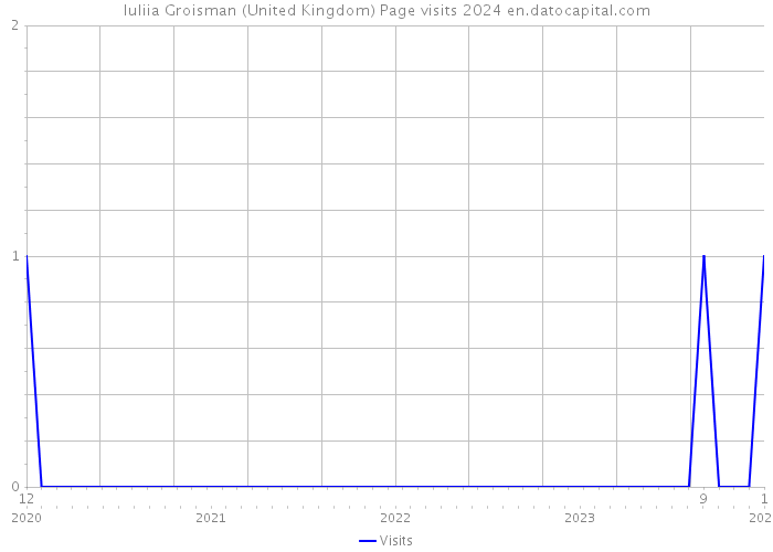 Iuliia Groisman (United Kingdom) Page visits 2024 