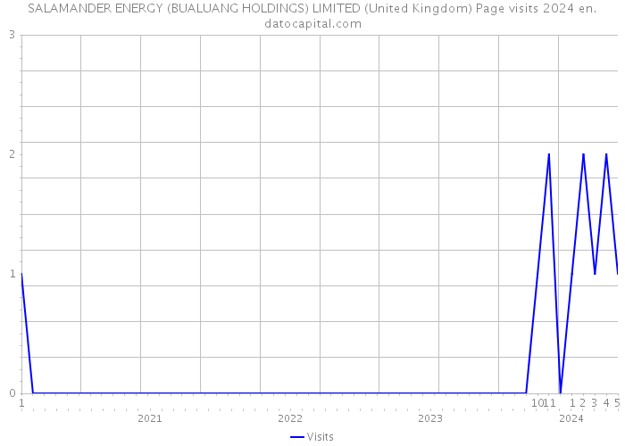 SALAMANDER ENERGY (BUALUANG HOLDINGS) LIMITED (United Kingdom) Page visits 2024 