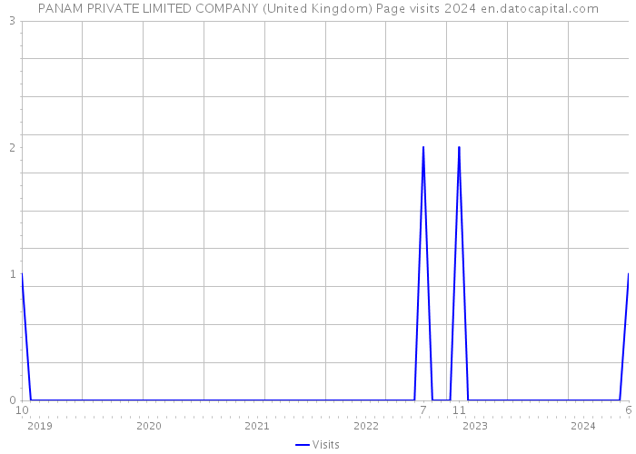 PANAM PRIVATE LIMITED COMPANY (United Kingdom) Page visits 2024 