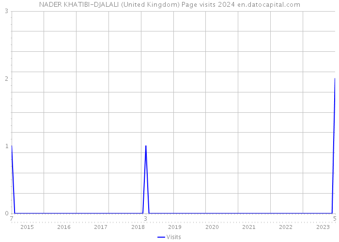 NADER KHATIBI-DJALALI (United Kingdom) Page visits 2024 