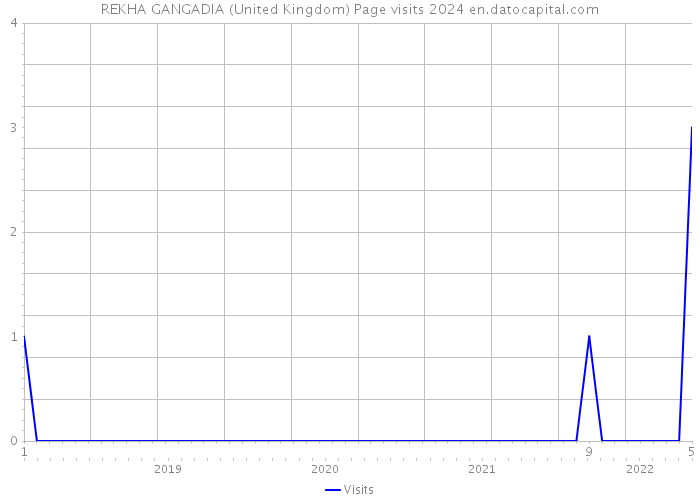 REKHA GANGADIA (United Kingdom) Page visits 2024 