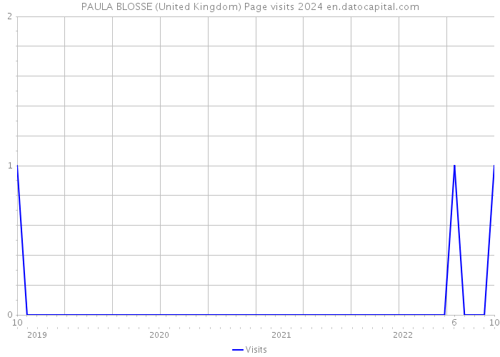 PAULA BLOSSE (United Kingdom) Page visits 2024 