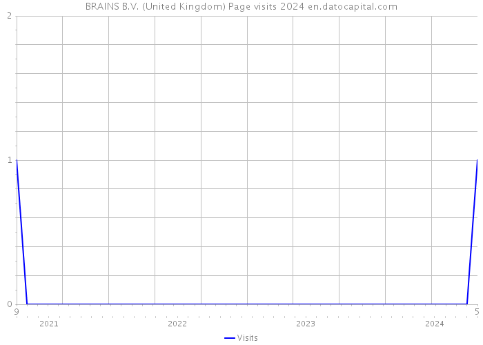 BRAINS B.V. (United Kingdom) Page visits 2024 