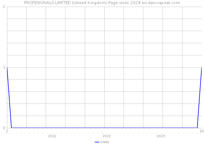 PROFESIONALS LIMITED (United Kingdom) Page visits 2024 