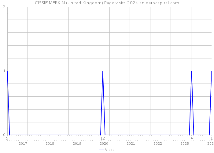 CISSIE MERKIN (United Kingdom) Page visits 2024 